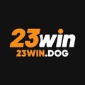 @23windog