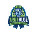 True Blue Heating And Cooling