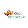 @sv388mindincambs