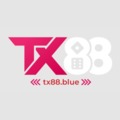 @tx88blue1