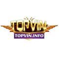 @gametopvininfo