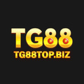 @tg88topbiz