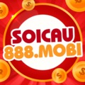 Soi cầu 888 2 nháy miễn phí - Soi cầu lô chính xác 100 - Soi cầu VIP 888 - Soicau888.mobi