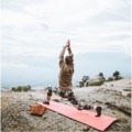 @Yogadaily