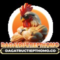 @dagatructiepthomoco