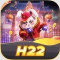 @h22orguk