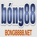 @bong8888net
