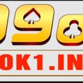 @99ok1info