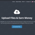 @megafileorg