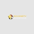 @gavangtvus