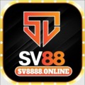 @sv8888online