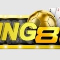 @8king8io