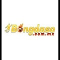 @linktructiepbongda2025
