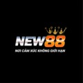 @new88815