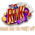 @rikvippautos