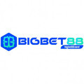 @bigbet88land