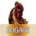 @boga66casino