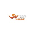 @sv388vnink1