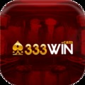 @333wincam