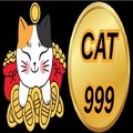 @cat999dev
