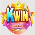 @kwinbiznet