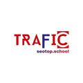 @dvtrafficseotop