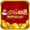 @hay88app
