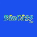 @banca29co