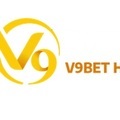 @v9bethp