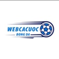 @webcacuocbongda