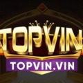 @topvinvin