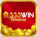 @333winltd