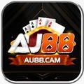 @au88cam