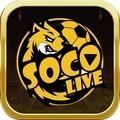 @socolivefutbol