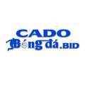 @cadobongdabid