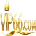 @vip66trade