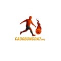 @cadobongda7