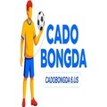 @cadobongda6us