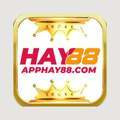 @apphay88com