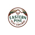 Eastern Pine Pest Control