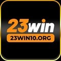 @23WIN10org