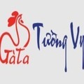 @gatatuongvyvn