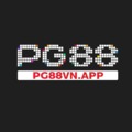 @pg88vnapp