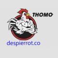 @dagathomotructiepdes