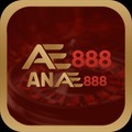 @anae88com