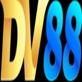 @dv88comvn