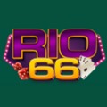 @rio66design