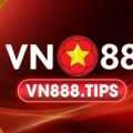 @vn888tips