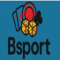 @bsportcam