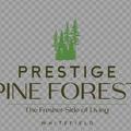 Prestige  Pine Forest